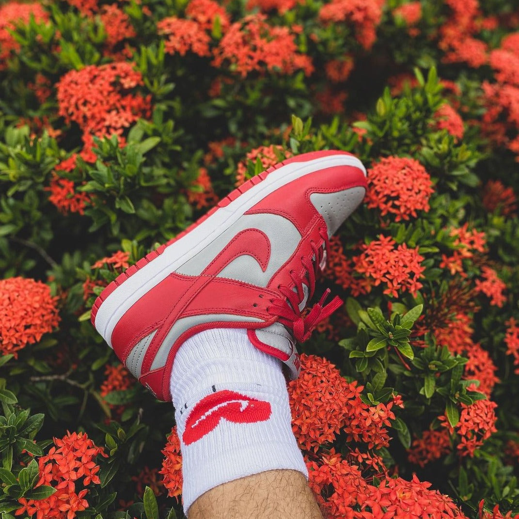 Nike Dunk Low 'UNLV'
